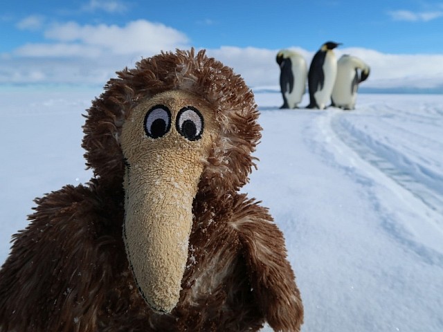 Ambassador from a school.