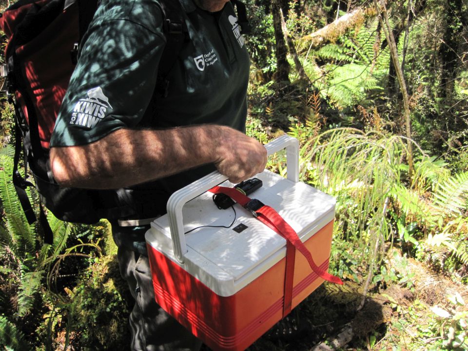 The kiwi egg is transported is a special container to keep it warm and safe. Image: LEARNZ.