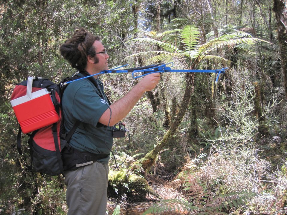 When the time is right, DOC workers head into the bush to find nesting kiwi. Image: LEARNZ.