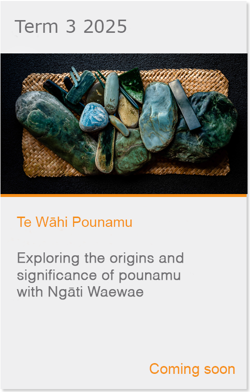 Te Wāhi Pounamu virtual field trip